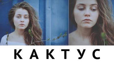 Animal ДжaZ разогреет рязанская группа «Кактус»